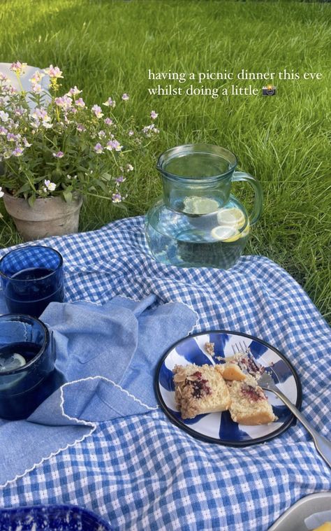 Blue Picnic Aesthetic, Blue Picnic, Picnic Dinner, Picnic Aesthetic, Picnic Ideas, Garden Dining, Insta Inspo, Blue Gingham, Summer Picnic