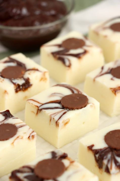 Moose Tracks Dessert, Pudding Fudge Recipes, Flavored Baking Chips, Peanut Butter Fudge With White Chocolate Chips, Moose Tracks Fudge, Hot Cocoa Fudge Recipe, Fun Fudge Flavors, Packaging Fudge To Sell, Molasses Fudge