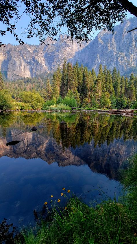 River Swimming, Summer Scenery, Background References, Truckee River, Mountains And Trees, Spring Camping, Beautiful California, Hiking Photography, Nature Hiking