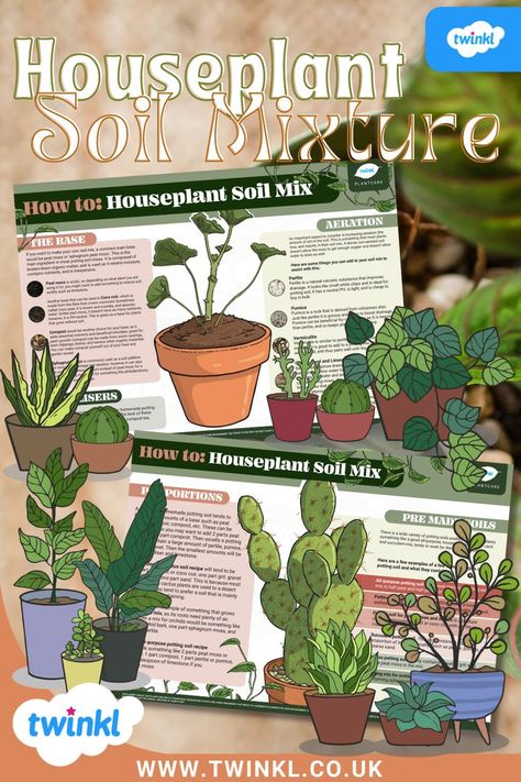 Twinkl’s houseplant soil mixture guide with original Twinkl illustrations. Soil Mixture, Plant Care Guide, Home Grown Vegetables, Houseplants Indoor, Plant Care, Indoor Plants, House Plants, Outdoor Activities, Soil