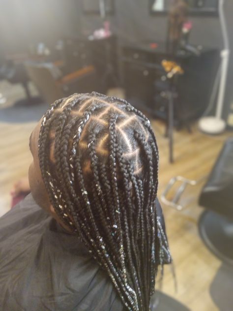 Hair Tinsel Box Braids, Tinsel Box Braids, Hair Tensil Box Braids, Silver Tensil In Hair, Hair Tinsel Black Women Braids, Tinsel Braids, Silver Tinsel, Girls Braids, Box Braids