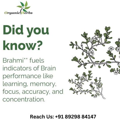 Brahmi Benefits, Ayurvedic Nutrition, Organic Herbs, Be Natural, Immune Boosting, Brain Health, Viral Post, Weight Gain, Apothecary