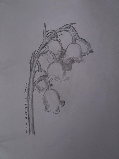 Valley Drawing, Realistic Flower Drawing, Lilies Drawing, Realistic Drawing, Flower Art Drawing, Art Drawings Sketches Pencil, Easy Drawings Sketches, Easy Doodles Drawings, Doodle Art Designs