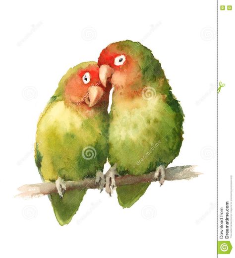 Illustration about Hand drawn Watercolor illustration of a couple of Lovebirds isolated on white background. Illustration of drawn, beautiful, ornithology - 80826543 Love Birds Drawing, Love Birds Painting, Arches Watercolor Paper, Exotic Bird, Bird Artwork, Love Illustration, Birds Tattoo, Bird Drawings, Bird Illustration