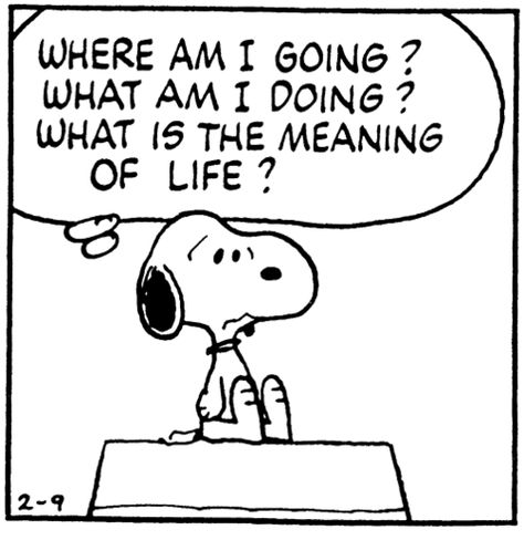 THE MEANING OF EVERYTHING | SERENDIPITY Existential Therapy, Charlie Brown Quotes, Am I Dreaming, Midlife Crisis, The Meaning Of Life, Snoopy Quotes, Mid Life Crisis, Life Quotes Love, Pet Peeves