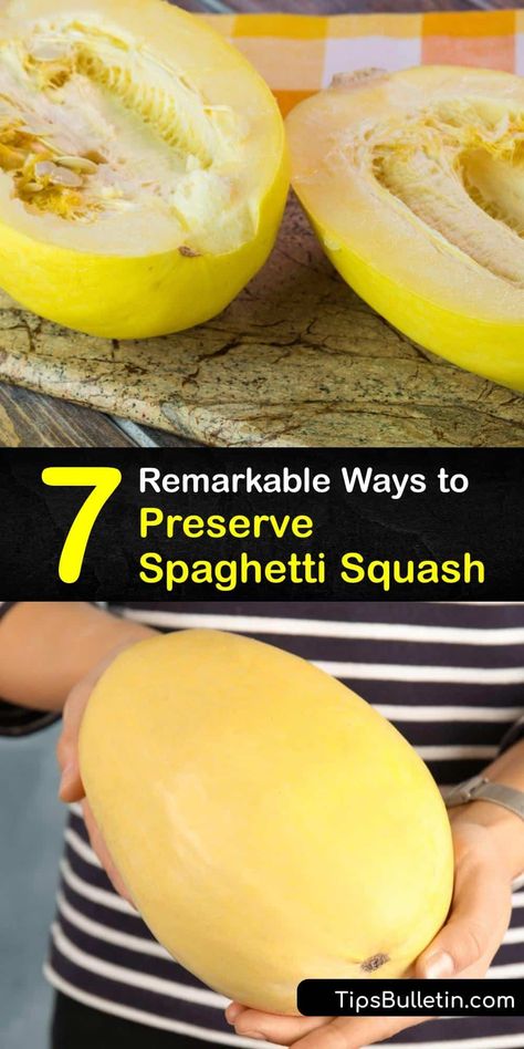 Freeze Spaghetti Squash How To, Dehydrate Spaghetti Squash, Storing Spaghetti Squash For Winter, How To Dehydrate Spaghetti Squash, Spaghetti Squash Freezing, Storing Spaghetti Squash, Preserve Spaghetti Squash, Dehydrating Spaghetti Squash, How To Preserve Spaghetti Squash