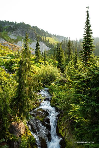 MOUNTAIN STREAM MOUNT RAINIER NATIONAL PARK WASHINGTON STATE COLOR VERTICAL American National Parks, Explore Colorado, National Parks Photography, Hiking National Parks, Grand Lake, Emerald Lake, Mountain Stream, Mount Rainier National Park, Colorado Hiking