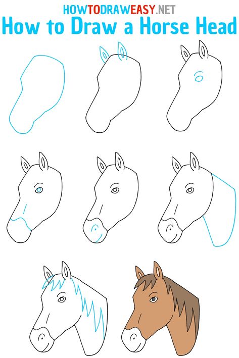 How to Draw a Horse Head Step by Step #HorseHead #Horse #HorseDrawing #HorseHeadDrawing #DrawingTutorial #DrawingTutorials #HorseDrawingTutorial #StepbyStepHorseDrawing #EasyDrawings #EasyDrawing #HorseSketch #Sketch #HorseDrawings How To Draw A Horse Head Step By Step, How To Draw Horse Face, Easy Horse Drawing Step By Step, Drawing Horses Easy, Horse Head Drawing Easy, How To Draw Horses Step By Step, How To Draw A Horse Head, How To Draw A Horse Step By Step, How To Draw Horse