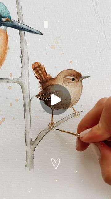 Roundabout Bunny on Instagram: "Bringing this little Wren to life, one tiny brushstroke at a time. 
Painting calmly and watching the painting move can be both satisfying and meditative. Have you ever try this? 
.
.
Watercolours from @artphilosophyco . Their woodland set is perfect for this type of birds 💕 use my code “roundaboutbunny15” for a discount on any products on their website 
.
#wren #wrenbird #britishbirds #birdlovers #watercolorbirds #artistlife #cottagecore #birdpainting #gardencore #britishcountryside" Type Of Birds, Art Philosophy, Watercolor Beginner, Art Study, Time Painting, British Countryside, Artist Life, Birdwatching, Watercolour Tutorials