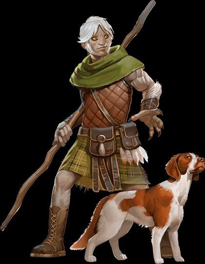 Shifter Druid Dnd, Dnd Shifter, Shifter Dnd, Dnd Reference, Dungeons And Dragons Races, Npc Ideas, Dnd Druid, Dnd Backgrounds, D D Character Ideas