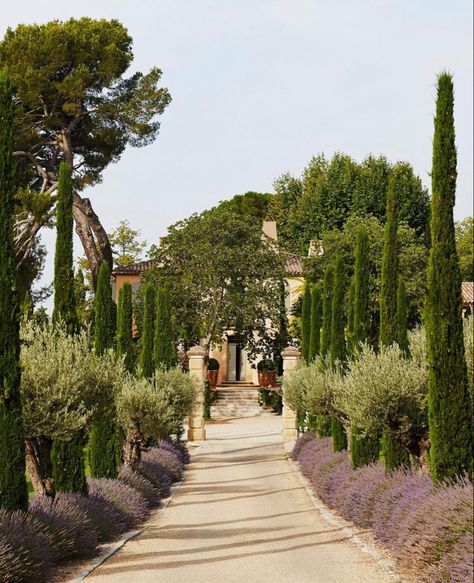 Italian Garden Design, Mediterranean Garden Design, Provence Garden, Tuscan Garden, Rustic Italian, Iris Garden, Italian Garden, Hello Lovely, Mediterranean Garden