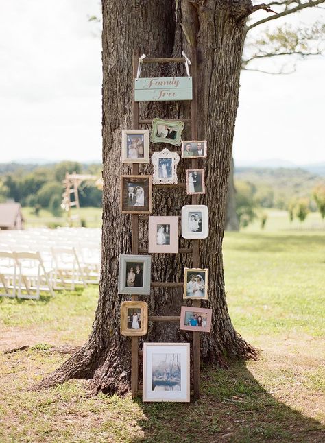 Family Tree #Ceremony #Decor #Decoration #Wedding #WeddingDecor #weddingDecoration #Casamentos #Cerimonia #Decoracao #DecoracaoDeCasamento Decorating Tree For Wedding, Family Tree At Wedding Photo Displays, Wedding Frame Decor, Decorating Trees For Wedding, Photo Tree Wedding, Oak Tree Wedding Decorations, Family Tree Wedding Display, Wedding Family Tree, Family Tree Decor