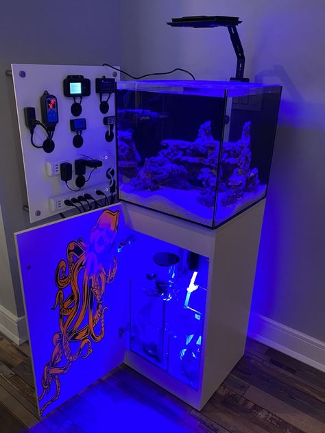 Aquarium Freshwater, Nano Reef Tank, Fish Room, Saltwater Aquariums, Aquarium Set, Fishing Room, Fish Decor, Nano Aquarium, Saltwater Tank