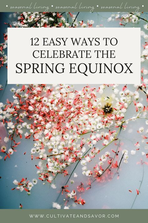 12 Simple Ways To Celebrate The Spring Equinox - Cultivate & Savor Spring Equinox Witchcraft, Spring Equinox Decorations, Spring Equinox Traditions, Spring Equinox Rituals, Spring Solstice Rituals, Spring Equinox Altar, Spring Equinox 2024, Spring Equinox Food, Spring Equinox Activities