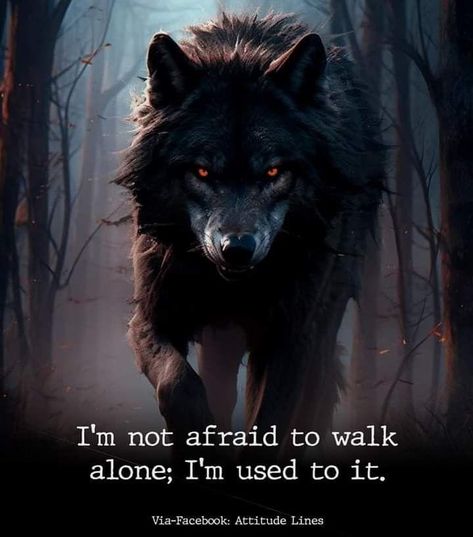 Wolf Code, Wolf Pack Quotes, Old Friend Quotes, Strong Affirmations, Wolf Cry, Scary Wolf, Reinvent Myself, Lonely Wolf, Lone Wolf Quotes