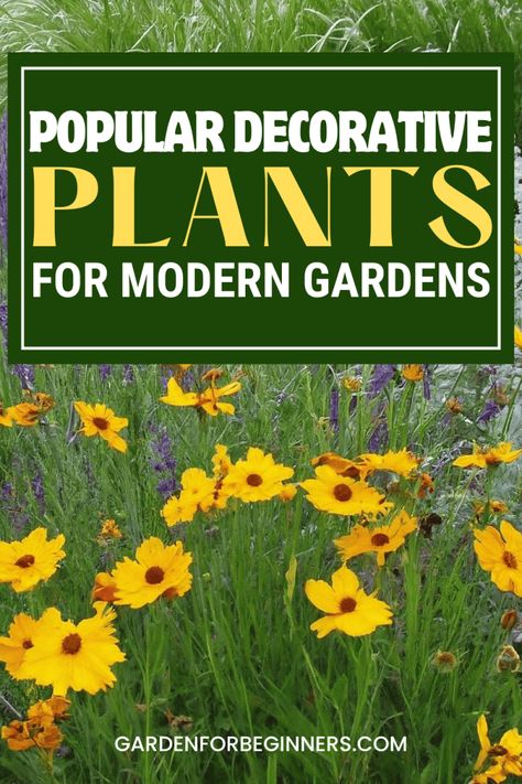 🌿 Welcome, beginner gardeners! Unearth the joy of nurturing your own patch of green. Learn low-maintenance gardening tips, explore trending exotic plants, and get inspired by sustainable gardening practices. Let's grow together in 2024! 👩‍🌾🌷🍅 Garden For Beginners, Popular Plants, Modern Gardens, Decorative Plants, Sustainable Gardening, Gardening Trends, Thriving Garden, Garden Maintenance, Trends For 2024