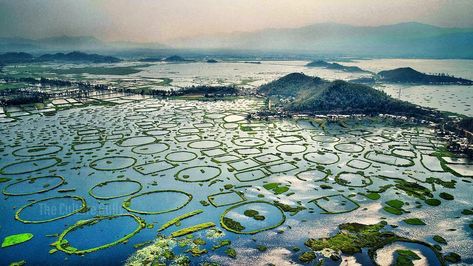 Loktak lake  @TheCulturegully on Instagram   #loktaklake #manipur #india #indiagram #indiaig #india_gram #india_clicks #india_everyday #indialove #indianwedding #shoaika #antumoh #manipur #indialove #travel #travelgram #wanderlust #globetrotter Loktak Lake Manipur, Loktak Lake, Migratory Birds, View Wallpaper, Sky Wallpaper, Shepherd Dogs, Tourist Places, Best Places To Travel, Incredible India