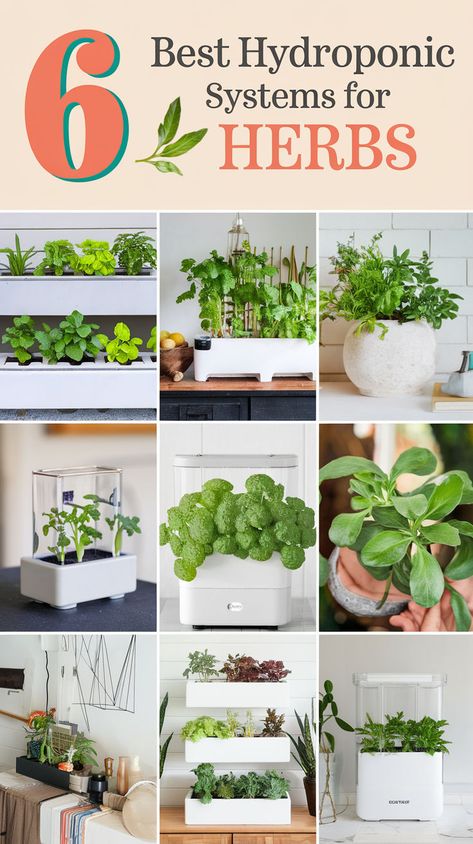 🌿 Discover the best hydroponic systems for growing fresh, aromatic herbs indoors at home. From basil to mint, these options simplify indoor gardening while ensuring flavorful harvests. Elevate your home-cooked meals with easy, year-round herb growing! 🌻 Hydroponic Herbs, Herb Growing, Hydroponic Systems, Herbs Indoors, Hydroponics System, Aromatic Herbs, Indoor Gardening, Grow Your Own, Hydroponics