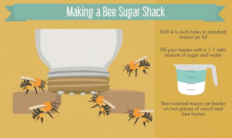 Create this nifty Bee Sugar Shack in you own garden. #bees #savethebees Bee Hives Diy, Bee Feeder, Bee Friendly Garden, Raising Bees, Diy Mason Jar, Dog Yard, Bee Keeper, Bee Garden, Bee Friendly