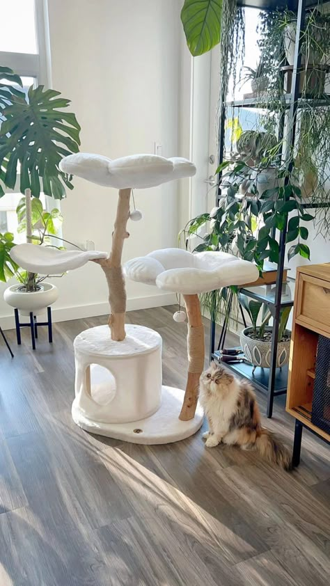 Cozy Plush Blanc Tres Modern Cat Tree & Condo, Large, White, Kbspets – KBSPETS Modern Floral Design, Flower Cat, Söt Katt, Inspire Me Home Decor, Floral Cat, Modern Cat, Cat Beds, Cat Tower, Cat Room