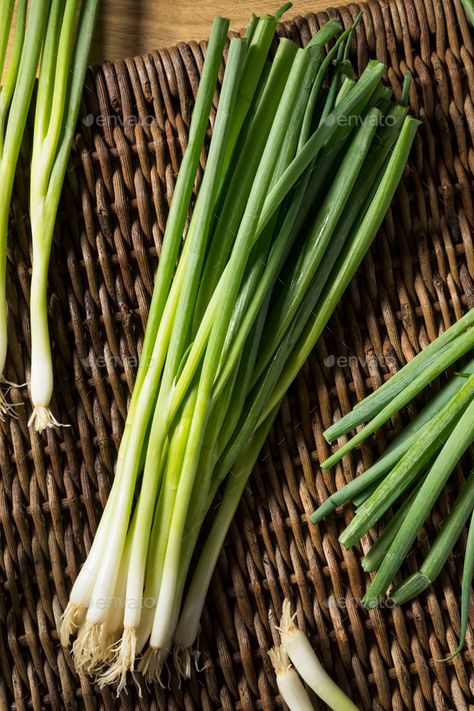 Raw Organic Green Onions by bhofack2. Raw Organic Green Onions Ready to Chop #Sponsored #Green, #Organic, #Raw, #Onions Photoshop Effects, Green Onions, Onions, Celery, Asparagus, Herbs, Nutrition, Photoshop, Diet