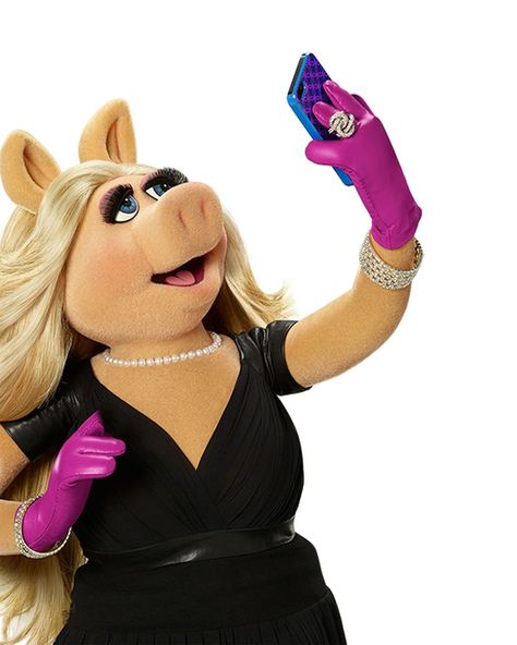 Pink Beauty Salon, Blues Clues Characters, The Muppets Characters, Miss Piggy Muppets, Kermit And Miss Piggy, Fozzie Bear, Take A Selfie, The Muppet Show, Muppet Babies