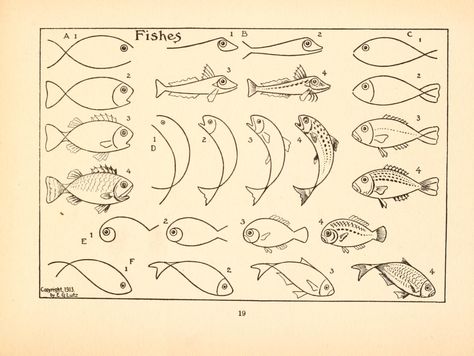 Art Handouts, Drawn Fish, Fish Drawing, Art Worksheets, Fish Drawings, What To Draw, Vintage Drawing, Art Instructions, Old Book