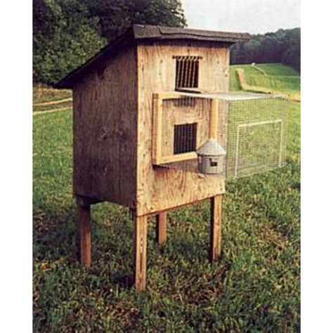 Small Coop, Diy Chicken Coop Ideas, Racing Pigeon Lofts, Pigeon Loft Design, Loft Plans, Chicken Coop Kit, Rabbit Pen, Pigeon Cage, Urban Chicken Farming