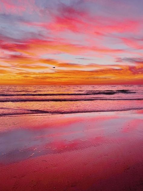 Vsco Beach, Sunset Beach Pictures, Editor Video, Beach Sunset Wallpaper, Beautiful Beach Pictures, Sunset Rose, Pretty Skies, Pink Ocean, Orange Aesthetic