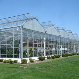 Greenhouse Design Plans, Polyhouse Farming Design, Diy Commercial Greenhouse, Hydroponic Greenhouse Design, Greenhouse Structure, Commercial Greenhouse Design, Industrial Greenhouse, Commercial Greenhouse Ideas, Hydroponic Greenhouse