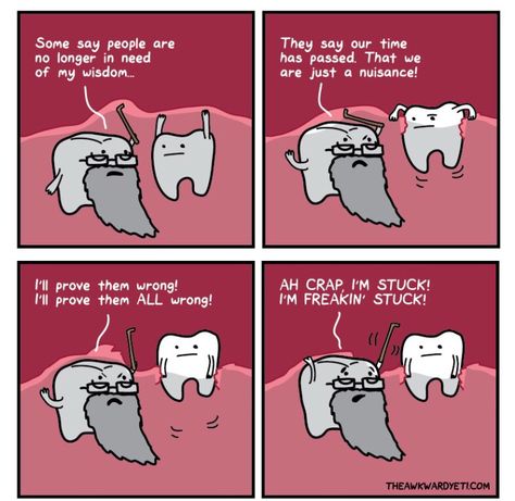 Wisdom teeth humor Wisdom Teeth Meme, Dental Funny, Impacted Wisdom Teeth, Zoom Teeth Whitening, Teeth Humor, Awkward Yeti, The Awkward Yeti, Tooth Cartoon, Dental Jokes