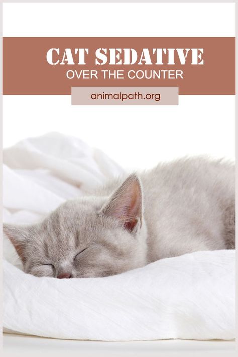 Need to calm your cat for travel, visit to the vet or some other reason? Find out the best over the counter sedatives for cats. Cat Calming Remedies, Cat Friendly Over The Counter Medicine, Cat Remedies, Cats Health, Cat Medicine, Nurse Cat, Cat Health Problems, Cat Advice, Colorful Hairstyles