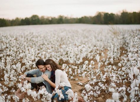 Engament Pictures, Cotton Field Photography, Southern Wedding Inspiration, Cotton Pictures, Field Photography, Fall Engagement Pictures, Country Engagement, Fall Family Pictures, Anniversary Photoshoot