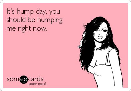 It's hump day, you should be humping me right now. Hump Day Quotes, Hump Day Humor, Funny Flirty Quotes, Funny Confessions, Inappropriate Thoughts, Dirty Girl, Humor Inappropriate, Memes Sarcastic, Happy Heart