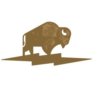 Bison Logo Design, Buffalo Logo Design, Bison Tattoo, Animal Logo Design, Buffalo Tattoo, Bison Logo, Buffalo Painting, Buffalo Logo, Bison Art