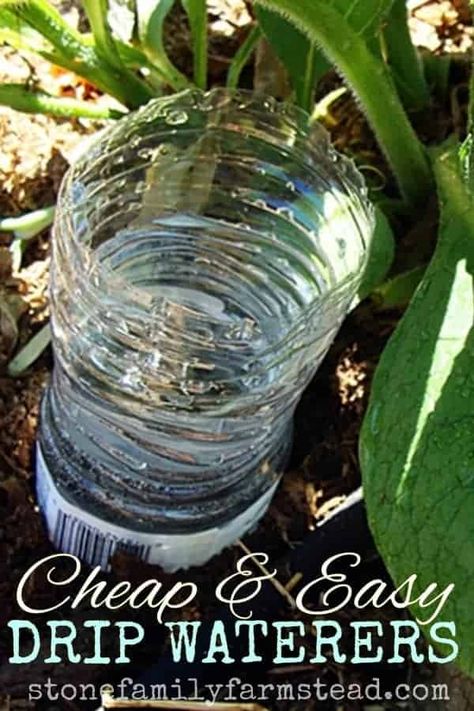 Slow Watering Plants Drip Irrigation, Garden Ideas Long, Self Watering Bottle, Diy Self Watering Planter, Diy Self Watering, Plant Watering System, Garden Watering System, Backyard Garden Diy, Self Watering Plants