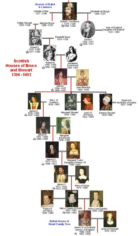 Houses of Bruce & Stewart Family Trees. King James  IV, was my 14 Th great grandfather. His daughter, Lady Janet Stewart, Baroness Fleming, was my 13 Th great-grandmother. House Of Stuart, Marie Stuart, Scottish House, Royal Family Trees, Scotland History, Scottish Ancestry, Family Tree Genealogy, Mary Stuart, Mary Queen Of Scots