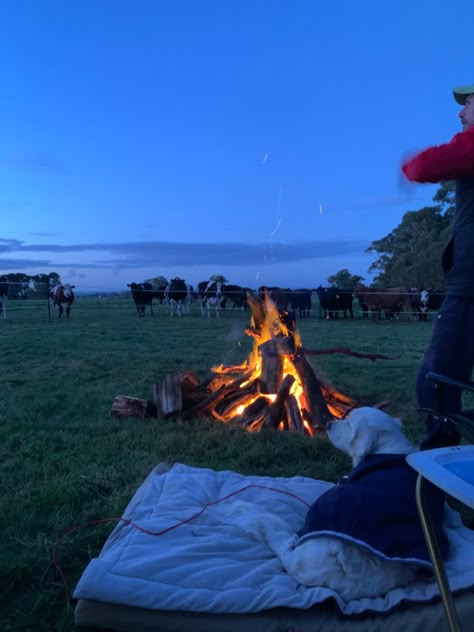 #country #countryside #cows #farm #farmlife #outdoors #australia #dogs #goldenretriever Montana Ranch Life Aesthetic, Montana Summer Aesthetic, Sidewalk Rule, Montana Ranch Aesthetic, Ranch Life Country Living, Farm Aesthetic Country Living, Ranch Life Aesthetic, Montana Summer, Southern Aesthetic