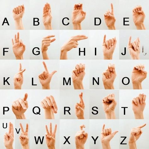 Simple Sign Language, Asl Sign Language Words, Sign Language Chart, Sign Language For Kids, Girly Items, Hand Shadows, Sign Language Words, Asl Sign Language, Sign Language Alphabet