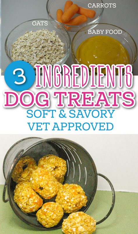 3 Ingredients Soft and Savory Dog Treats, Vet Approved Soft Dog Treats For Senior Dogs, Carrot Cake Dog Treats, Soft Treats For Dogs With No Teeth, Soft Puppy Treats Homemade, Air Fried Dog Treats, Homemade Dog Treats For Joints, Homemade Grain Free Dog Food, Diy Soft Dog Treats, Baby Food Dog Treats Recipes