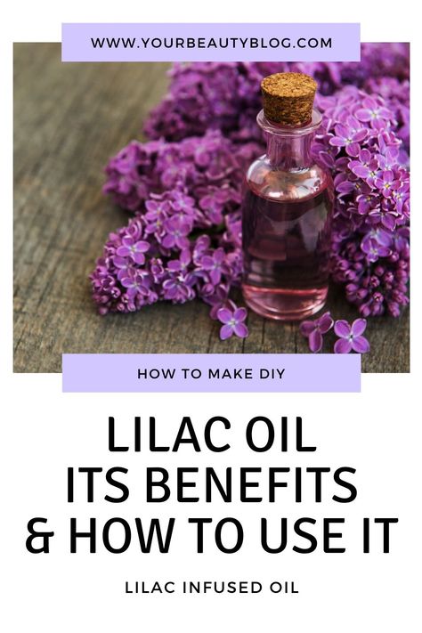 Lilac Essential Oil Diy, Lilac Infused Oil, Uses For Lilac Flowers, Lilac Flower Uses, Lilac Oil Diy, Lilac Salve Recipe, What To Do With Lilac Flowers, Herbal Skincare Recipes, Lilac Benefits