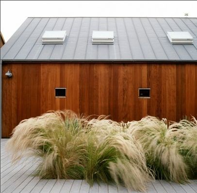 Architecture Schools, Mexican Feather Grass, Stinson Beach, Landscape Gardening, Seaside Garden, Grasses Landscaping, Easy Landscaping, Grasses Garden, Landscape Architects