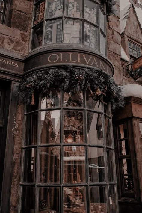 متحف فني, Dark Acadamia, E T, Aesthetic Dark Academia, Library Aesthetic, Images Harry Potter, Hogwarts Aesthetic, Slytherin Aesthetic, Harry Potter Pictures