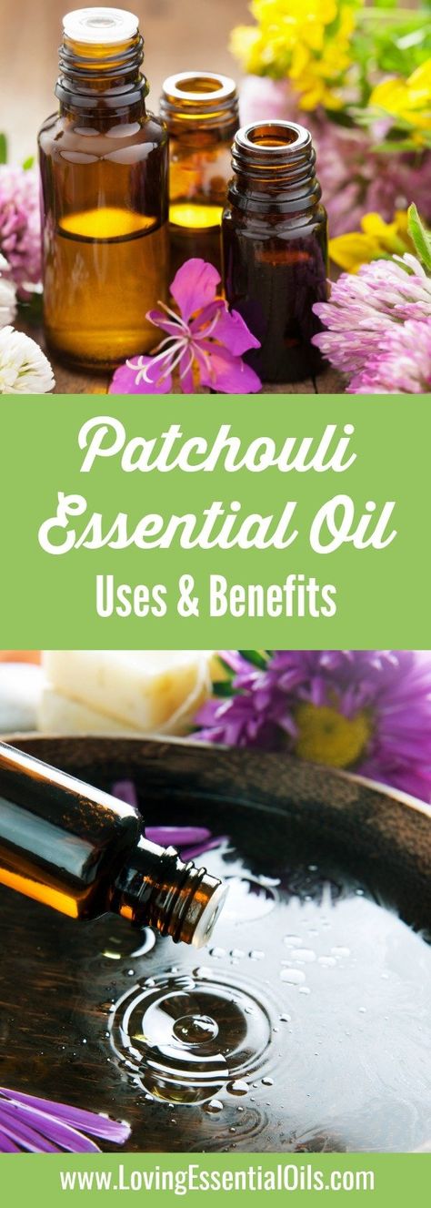 Best Patchouli Oil Uses & Benefits by Loving Essential Oils Pachuli Essential Oil Benefits, Patchouli Scent, Floral Essential Oils, Patchouli Oil, Essential Oils Gifts, Patchouli Essential Oil, Aromatherapy Gifts, Essential Oil Benefits, Young Living Oils