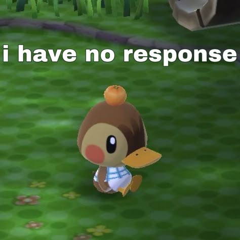 Animal Crossing Pfp, Acnh Villagers, Animal Crossing Art, Tom Nook, Animal Crossing Memes, Animal Crossing Characters, Animal Crossing Villagers, Acnh Ideas, Animal Crossing Game