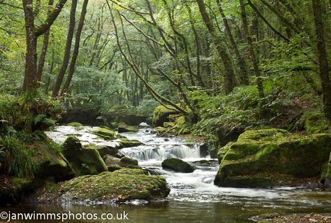 Golitha Falls nr Liskeard Cornwall Liskeard Cornwall, Lostwithiel Cornwall, Lizard Point Cornwall, Camping France, Golitha Falls Cornwall, Camping Cornwall, Pistyll Rhaeadr Waterfall, Cornwall Coast Fishing Villages, Down The River