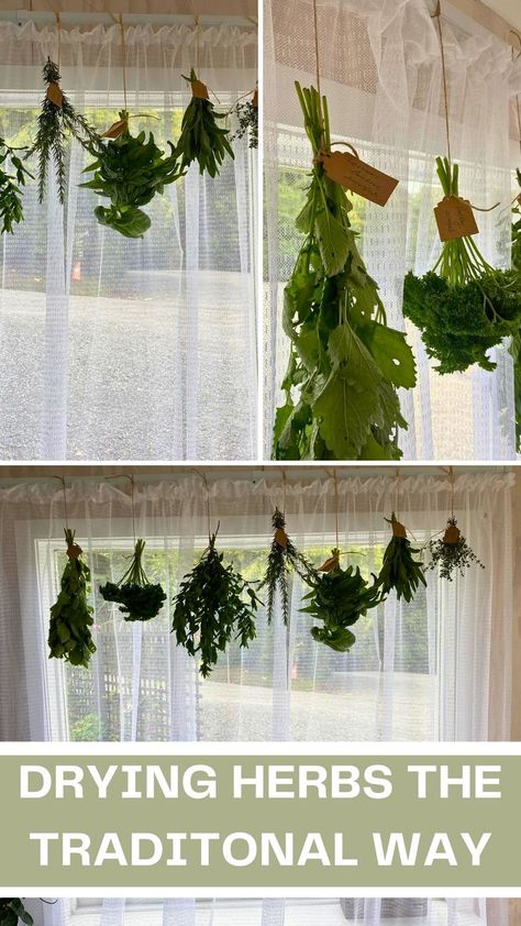 Farm Witch, Herb Room, Herb Diy, Craft Room Makeover, Herbal Witch, Garden Diy Projects, Witch Kitchen, Freezing Herbs, All Natural Home