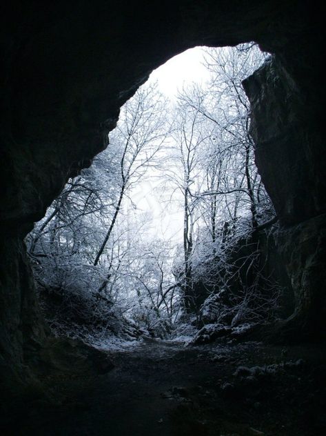 Cave Aesthetic Forest, Snow Glass Apples, A Thousand Heartbeats, The Witch Collector, Wolf And Sheep, Forest Cave, Cave Aesthetic, Snow Cave, Winter Photography Nature