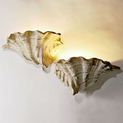 PAIR SHELL SCONCES Sea Shell Wall Sconces, Shell Wall Light, Sea Shell Lamp, Shell Lighting, Shell Furniture, Clay Lamp, Shell Light, Shell House, Off White Walls