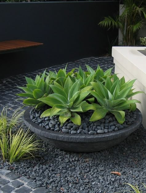 Potted Plants In Rock Garden, Black Pebbles Garden, Shallow Bowl Planter Ideas, Container Landscaping Front Yards, Black Pebbles Landscape, Rock Garden With Potted Plants, Black Pebble Landscaping, Bowl Planters Outdoor, Succulent Bowls Outdoor